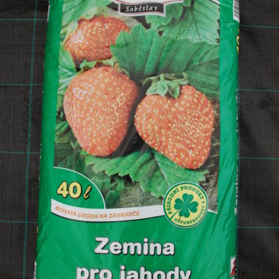 Zem pro jahody 40l