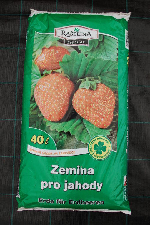 Zem pro jahody 40l